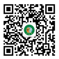 微信号